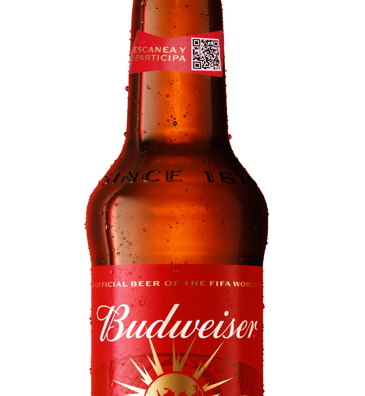 Budweiser Bottle Budweiser Bottle